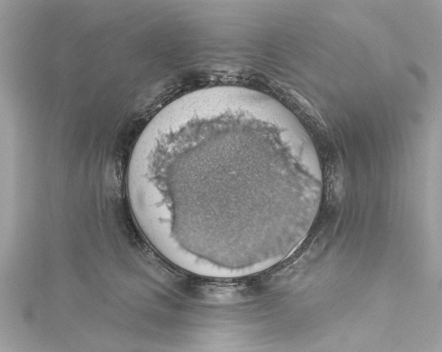 X0000115030661200911161508