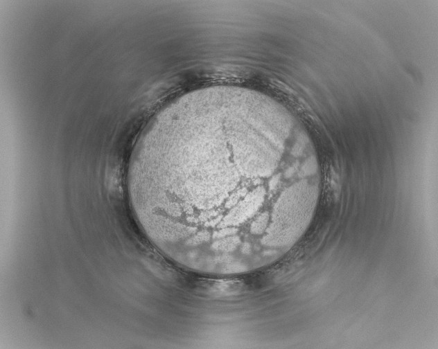 X0000115030663200911161508