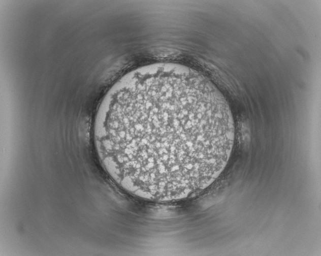 X0000115030664200911161508