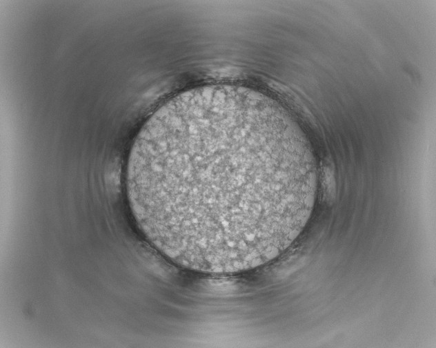 X0000115030668200911161508