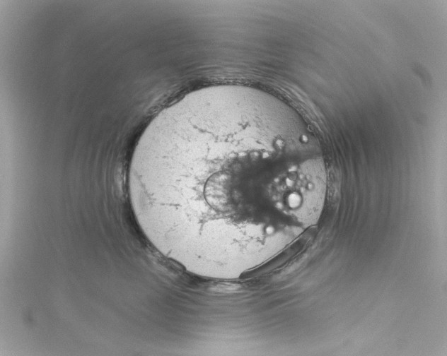 X0000115030669200911161508