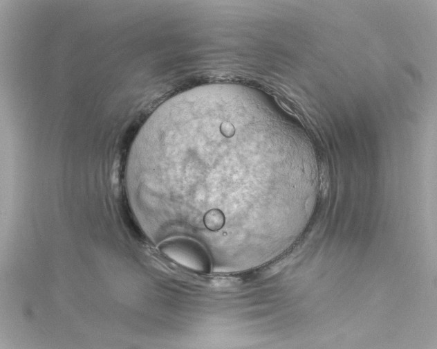 X0000115030670200911161508