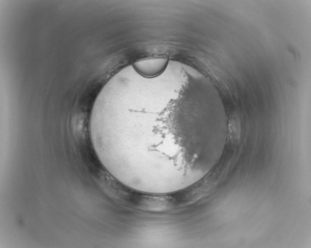 X0000115030671200911161508