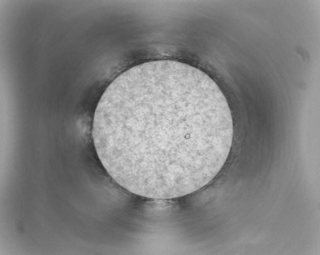 X0000115030672200911161508