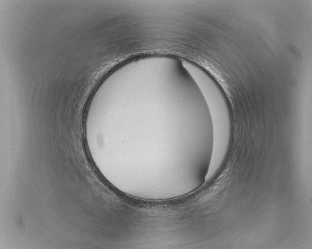 X0000115030673200911161507