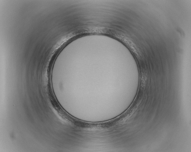 X0000115030674200911161507