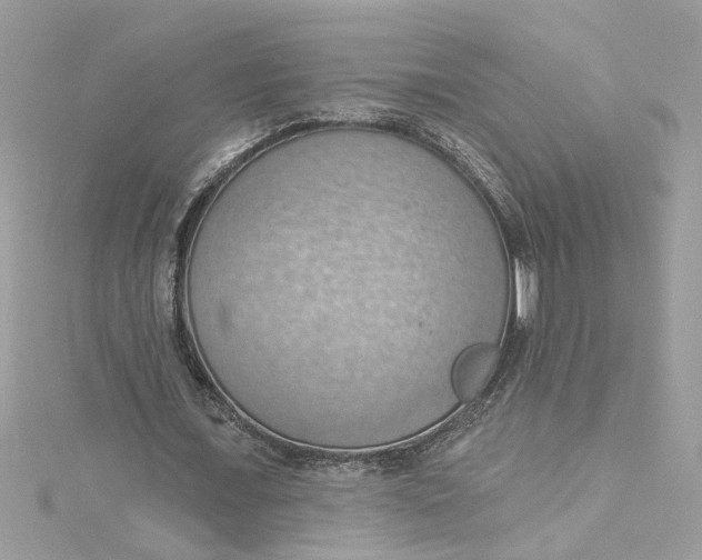 X0000115030675200911161507