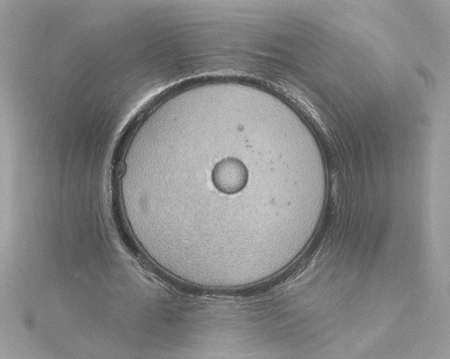 X0000115030676200911161507