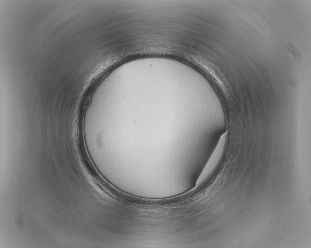 X0000115030677200911161507