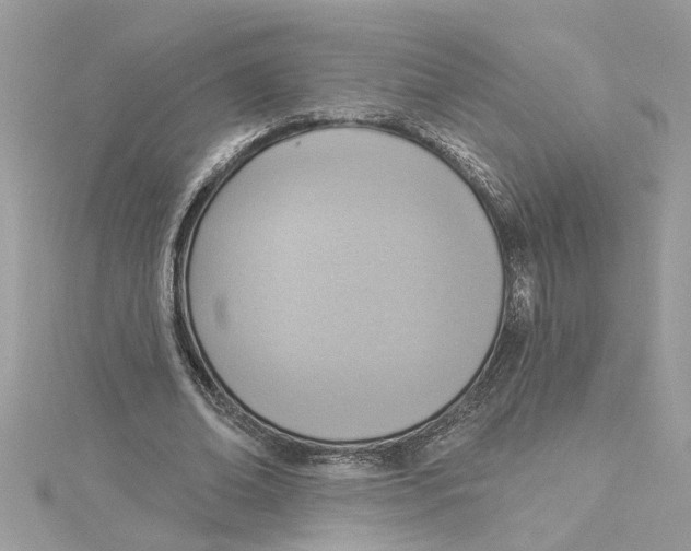 X0000115030678200911161507