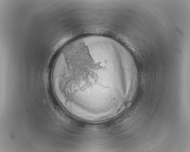 X0000115030679200911161507