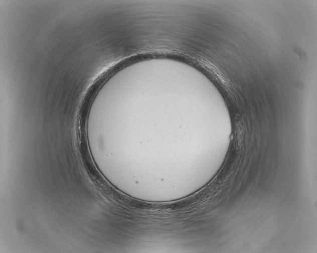 X0000115030680200911161507