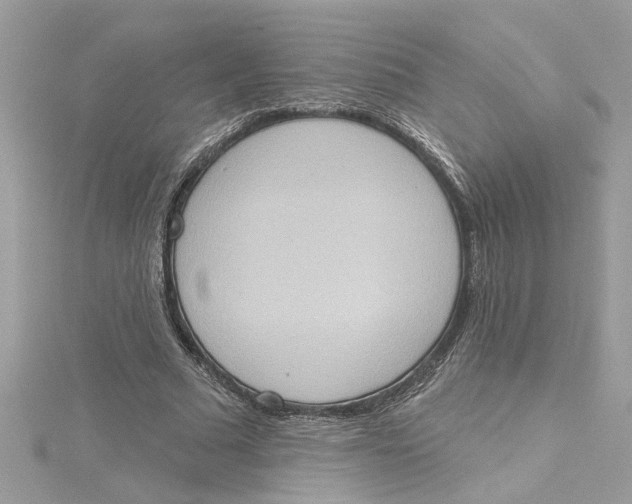 X0000115030681200911161507