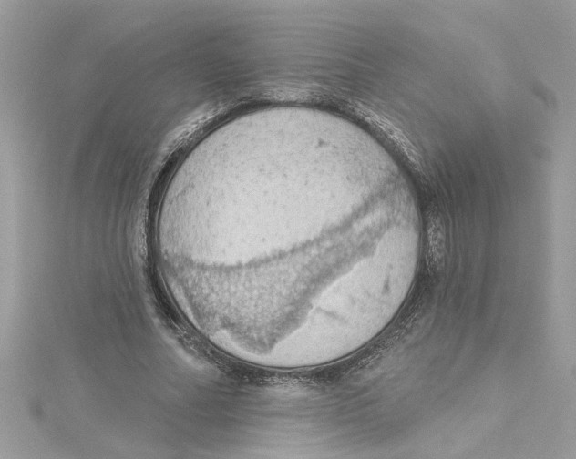 X0000115030682200911161507