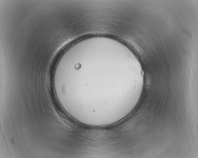 X0000115030684200911161507