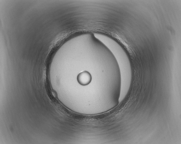 X0000115030685200911161507