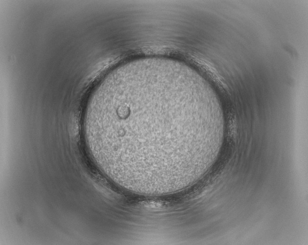 X0000115030687200911161507