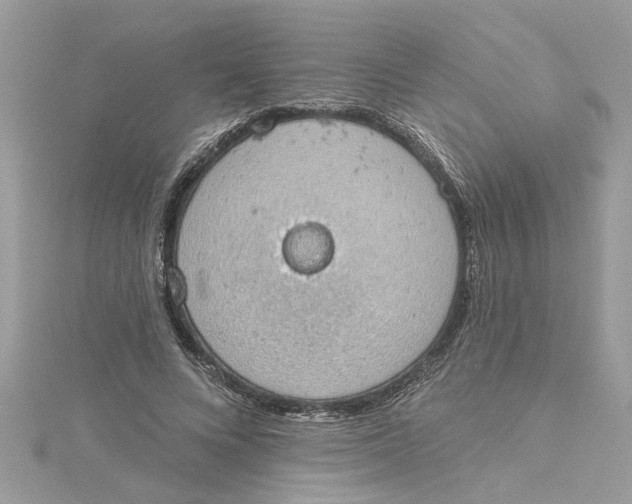 X0000115030688200911161507