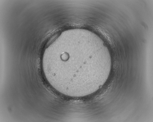 X0000115030689200911161507