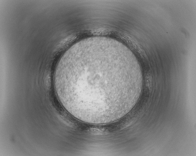 X0000115030690200911161507