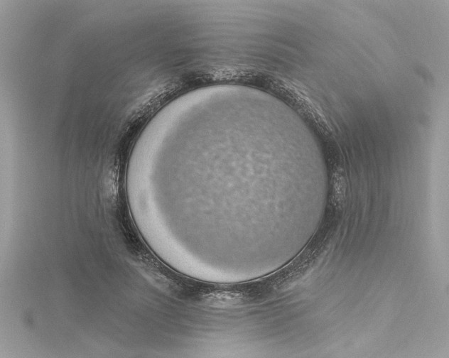 X0000115030691200911161507