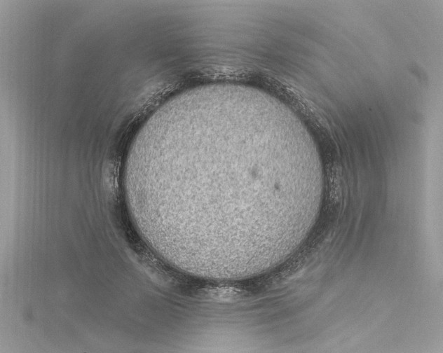 X0000115030695200911161507