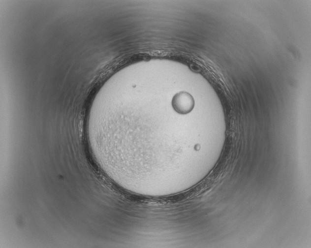 X0000115030697200911161507