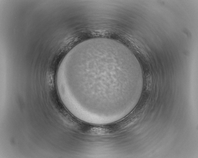 X0000115030699200911161507