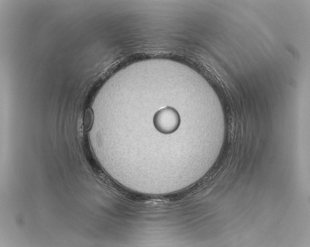 X0000115030700200911161507