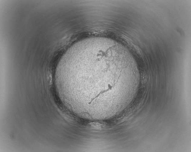 X0000115030703200911161507