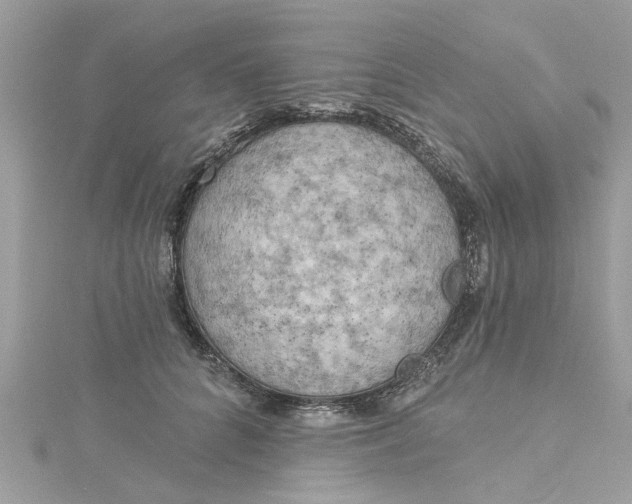 X0000115030704200911161507