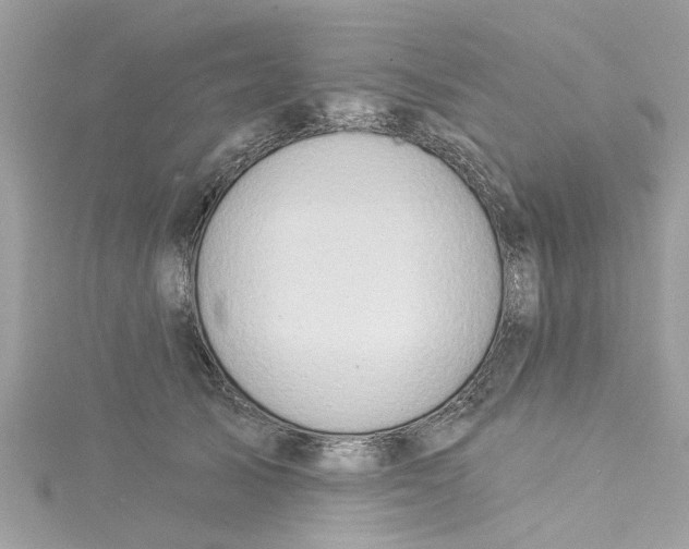 X0000115030705200911161507