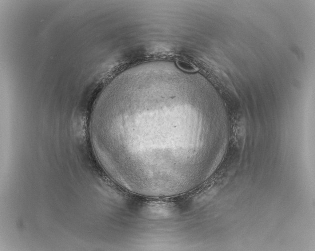 X0000115030708200911161507