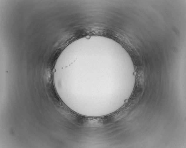 X0000115030709200911161507