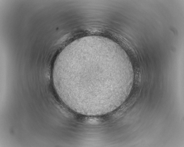 X0000115030710200911161507