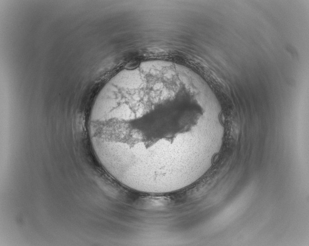 X0000115030711200911161507