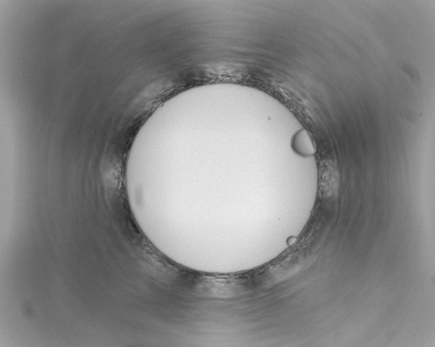 X0000115030713200911161507