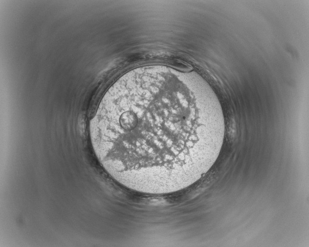 X0000115030715200911161507