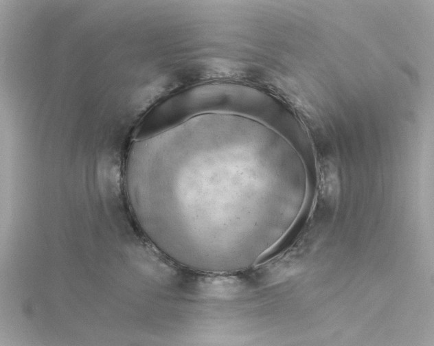 X0000115030716200911161507