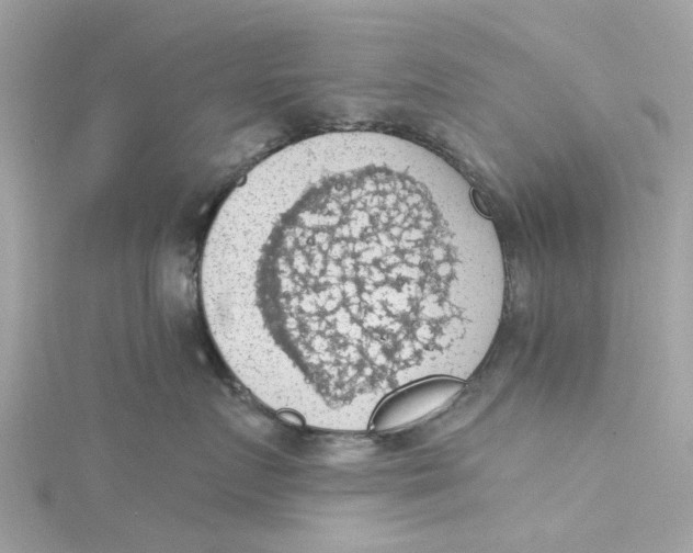 X0000115030719200911161507