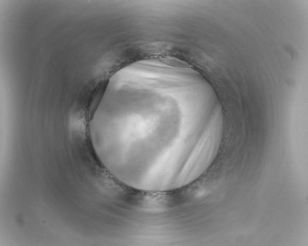 X0000115030720200911161507