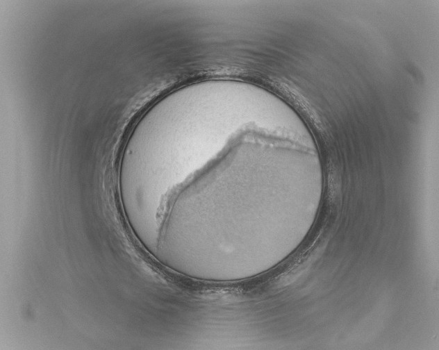 X0000115030721200911161506