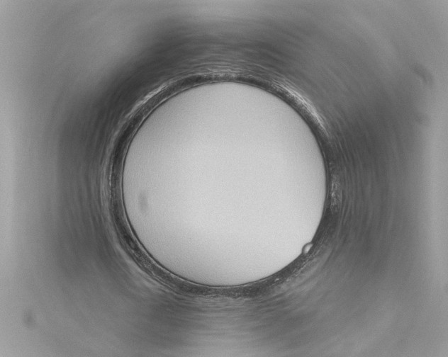 X0000115030722200911161506