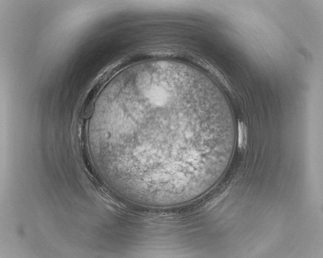 X0000115030723200911161506