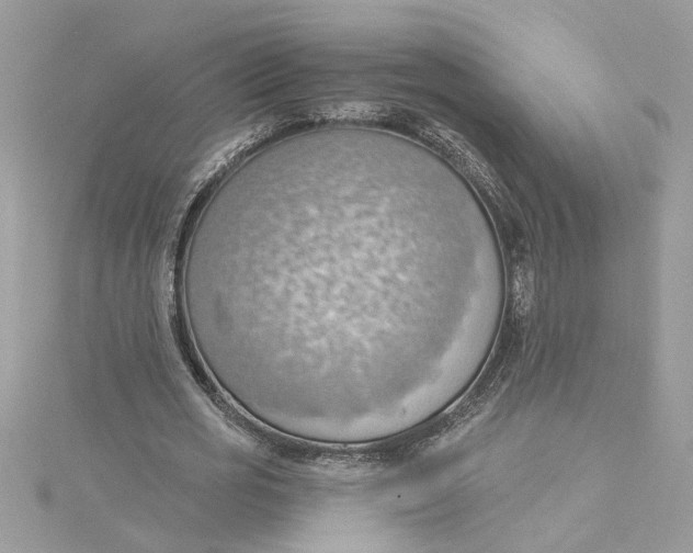 X0000115030725200911161506