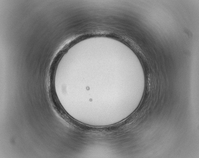 X0000115030726200911161506