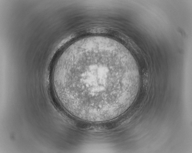 X0000115030727200911161506