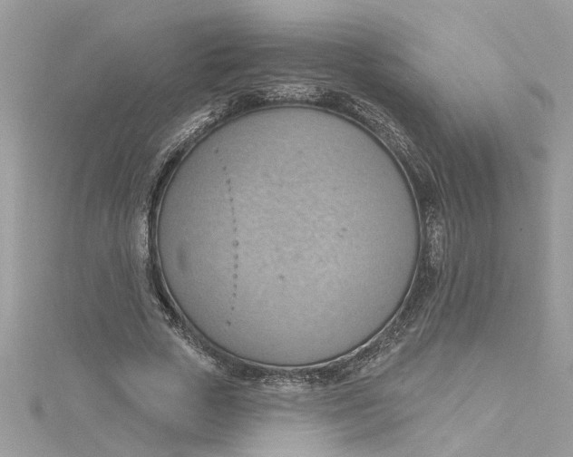 X0000115030729200911161506