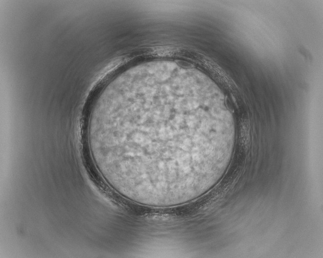 X0000115030730200911161506