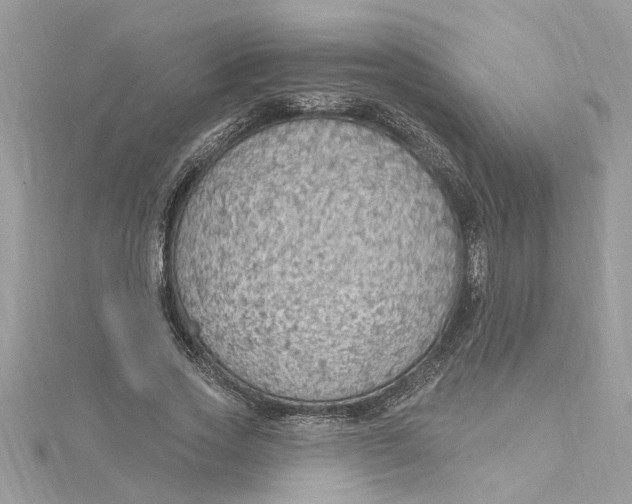 X0000115030733200911161506